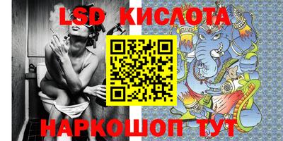 ГАЛЛЮЦИНОГЕННЫЕ ГРИБЫ Кандалакша