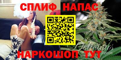 ГАЛЛЮЦИНОГЕННЫЕ ГРИБЫ Кандалакша